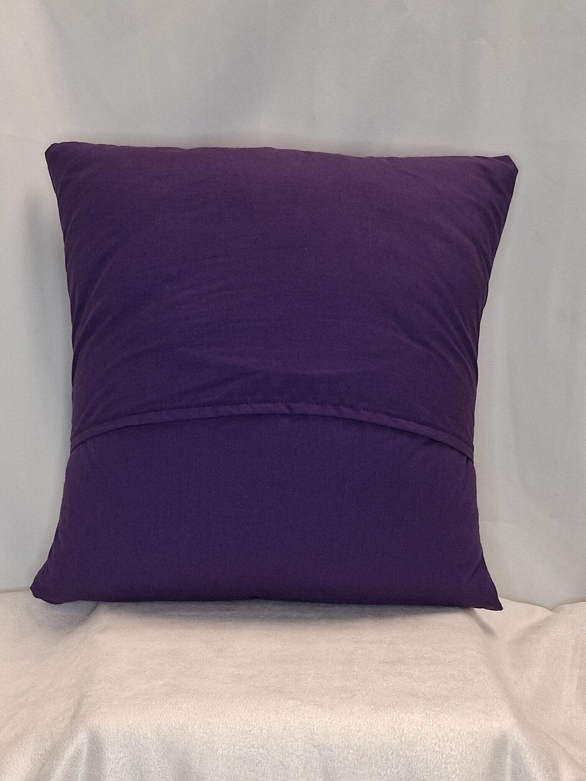 Women's Rights Pillow