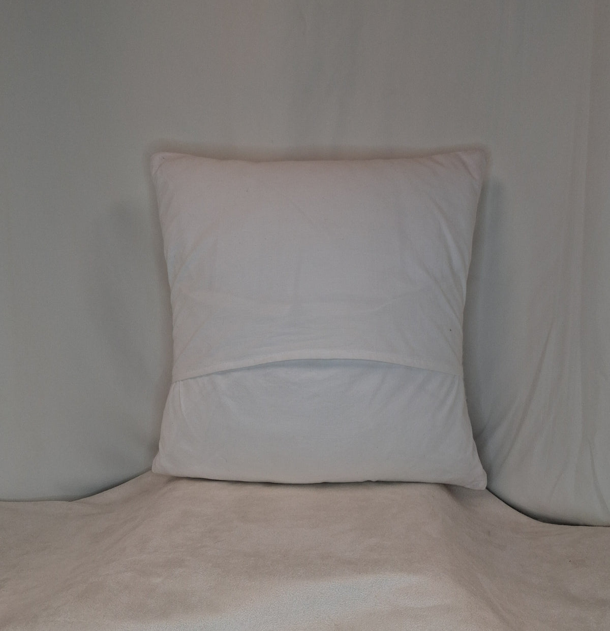 Bean Pillow