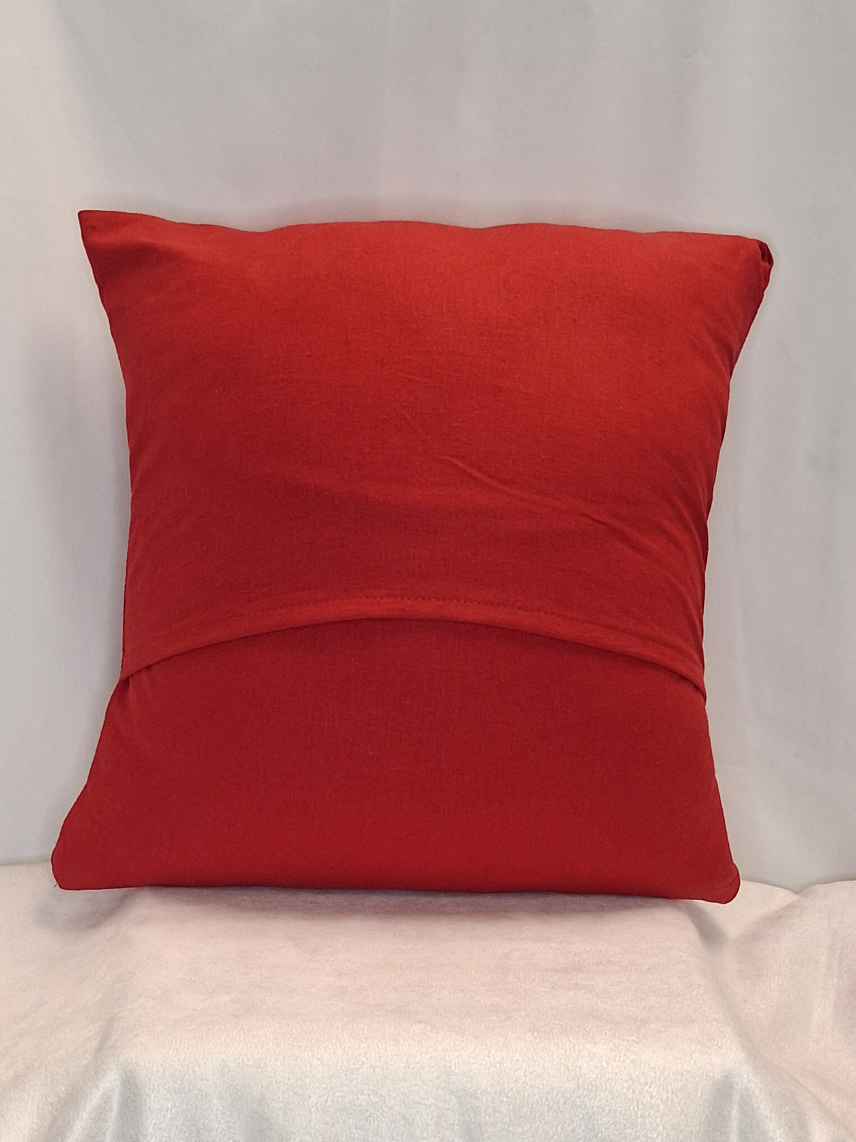Social Justice Pillow