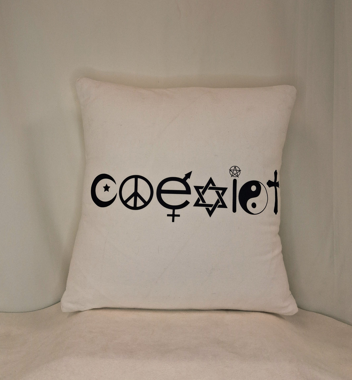 Coexist Pillow
