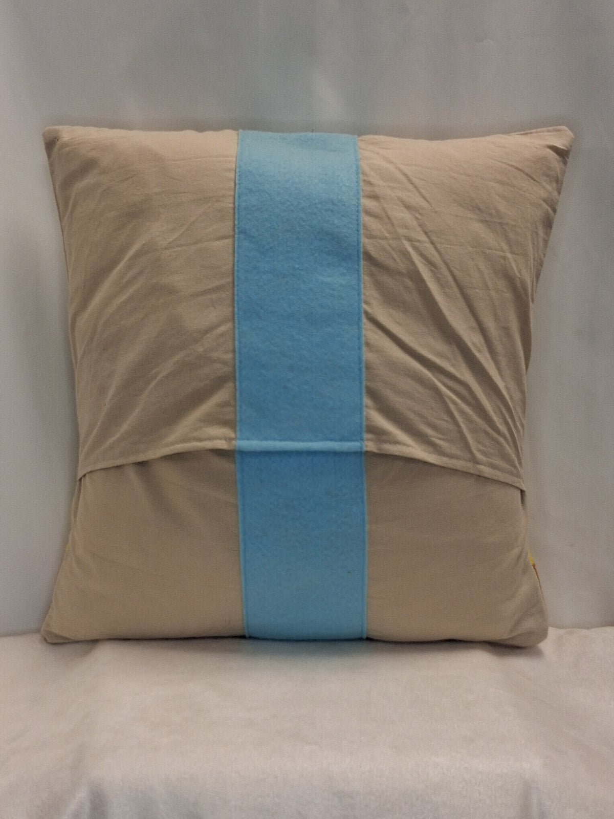 Aang Pillow